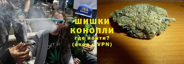 ECSTASY Белокуриха