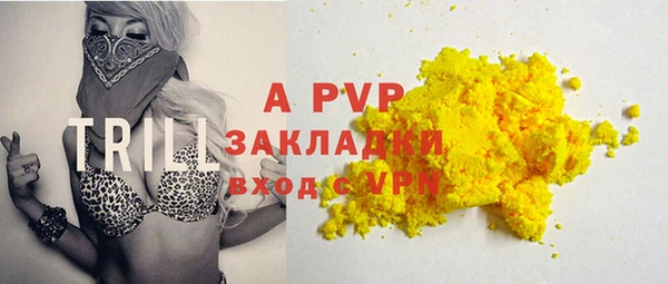 ECSTASY Белокуриха
