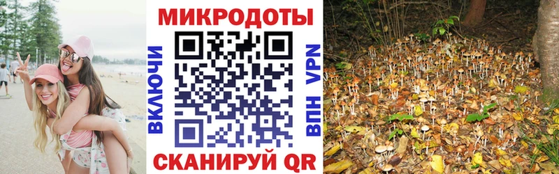 Галлюциногенные грибы Psilocybe  blacksprut tor  Йошкар-Ола  продажа наркотиков 